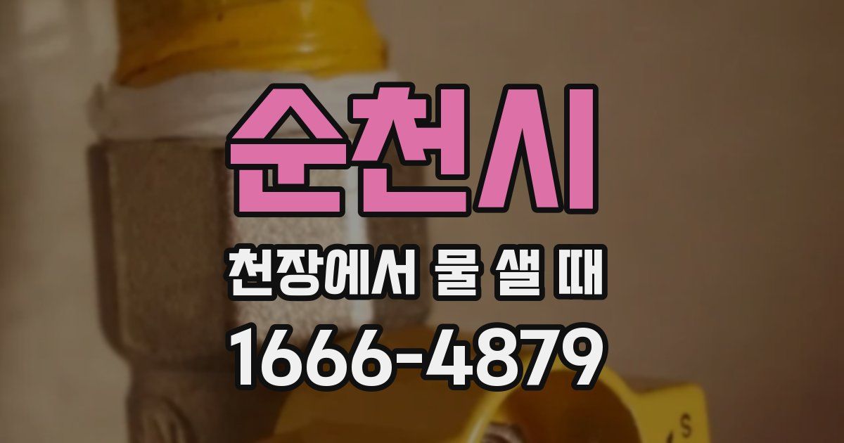 순천시 천장에서 물 샐 때