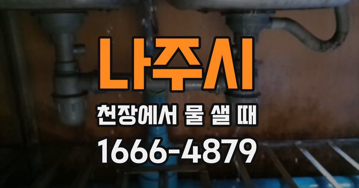 나주시 천장에서 물 샐 때
