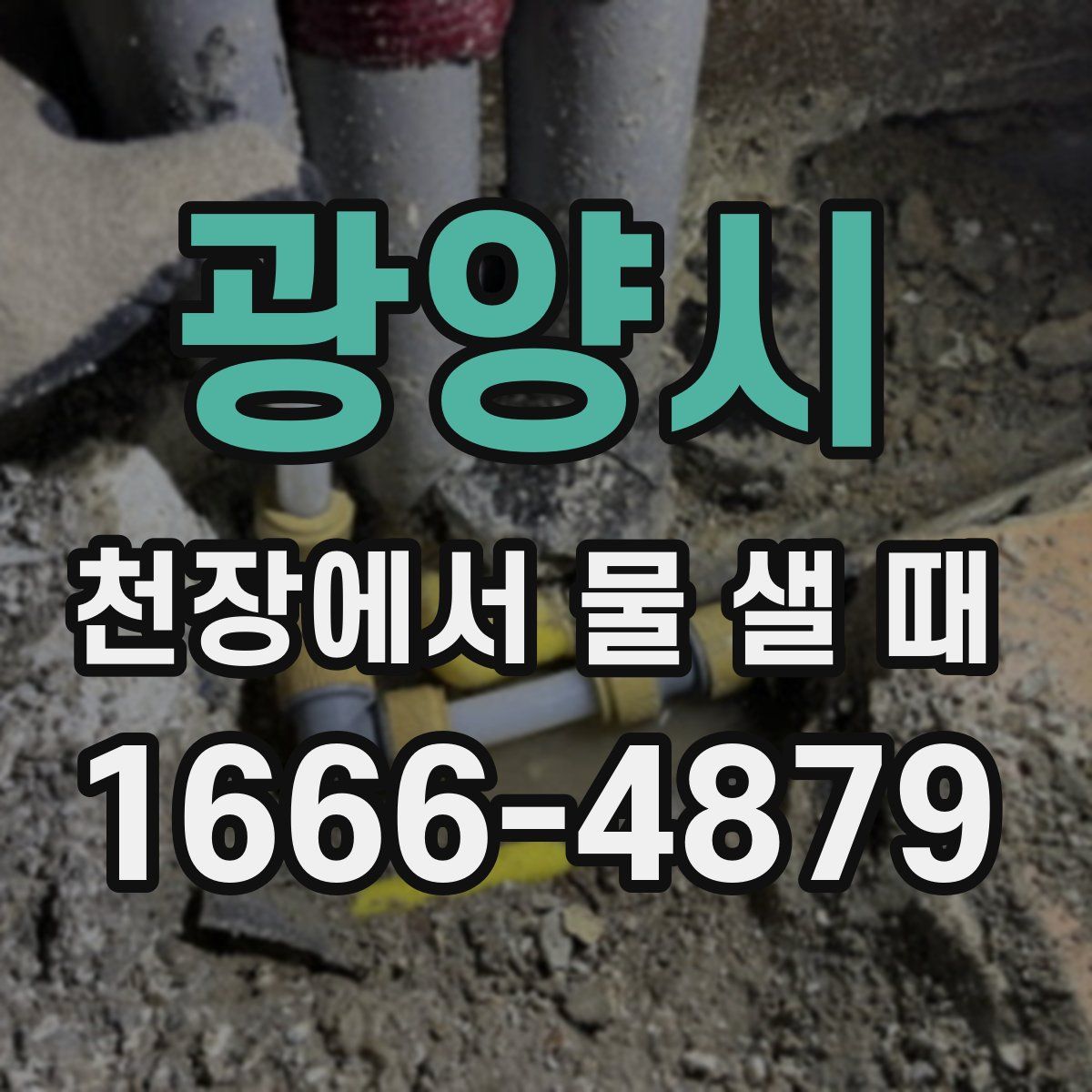 광양시 천장에서 물 샐 때