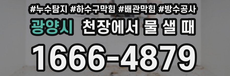광양시 천장에서 물 샐 때