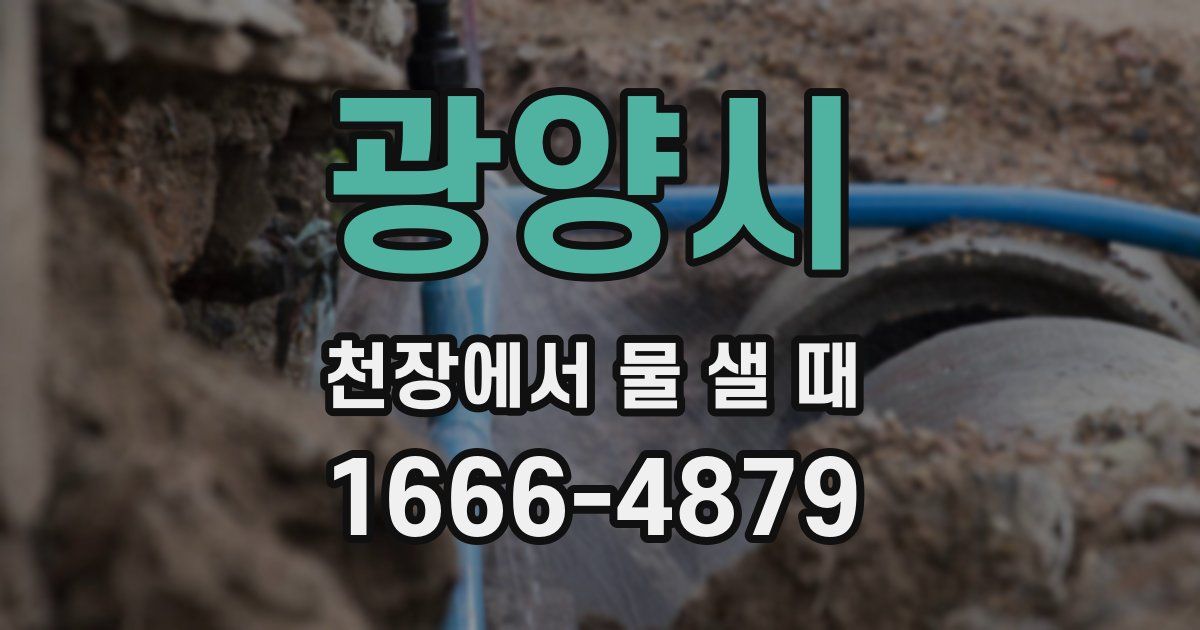 광양시 천장에서 물 샐 때