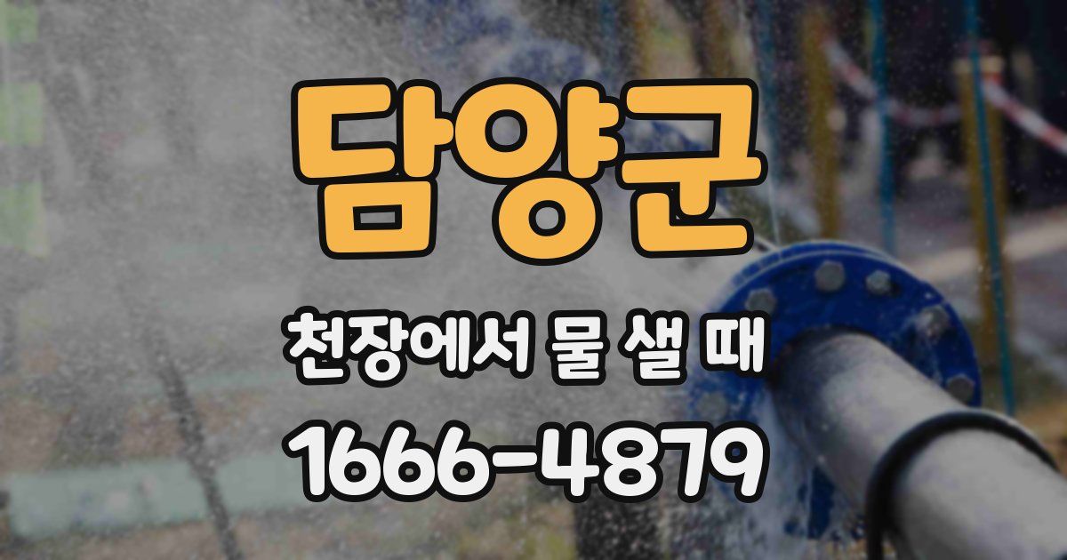 담양군 천장에서 물 샐 때