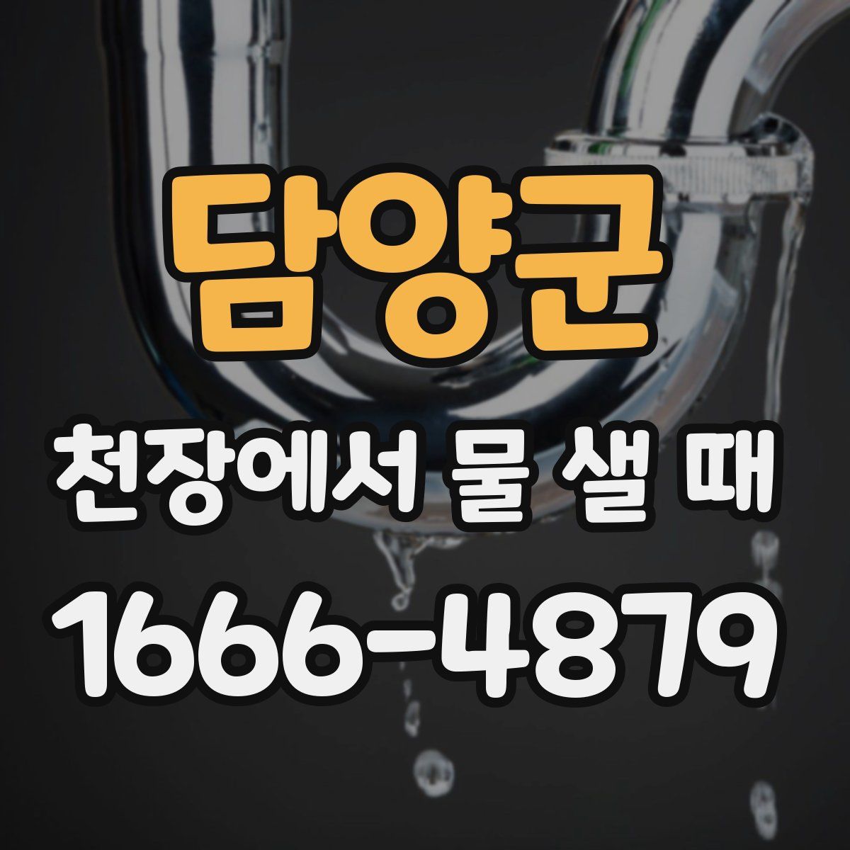 담양군 천장에서 물 샐 때