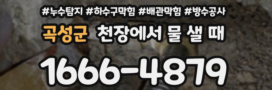 곡성군 천장에서 물 샐 때