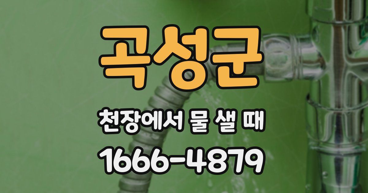 곡성군 천장에서 물 샐 때