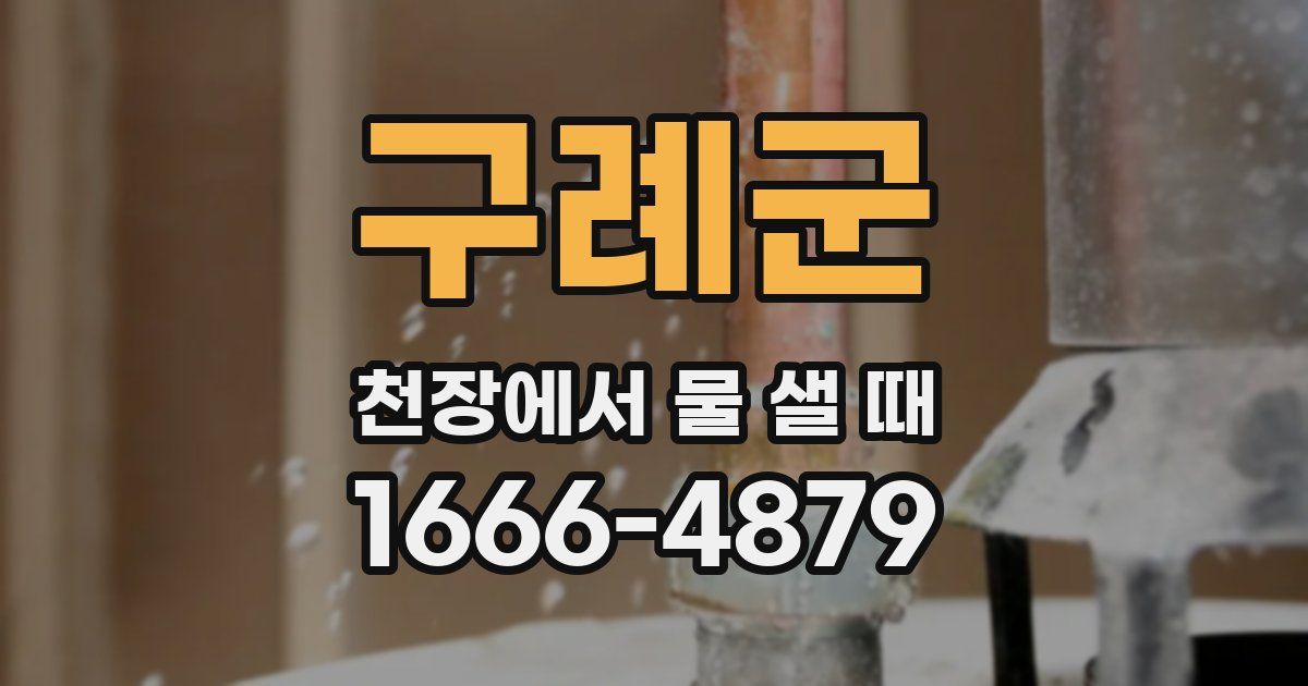 구례군 천장에서 물 샐 때