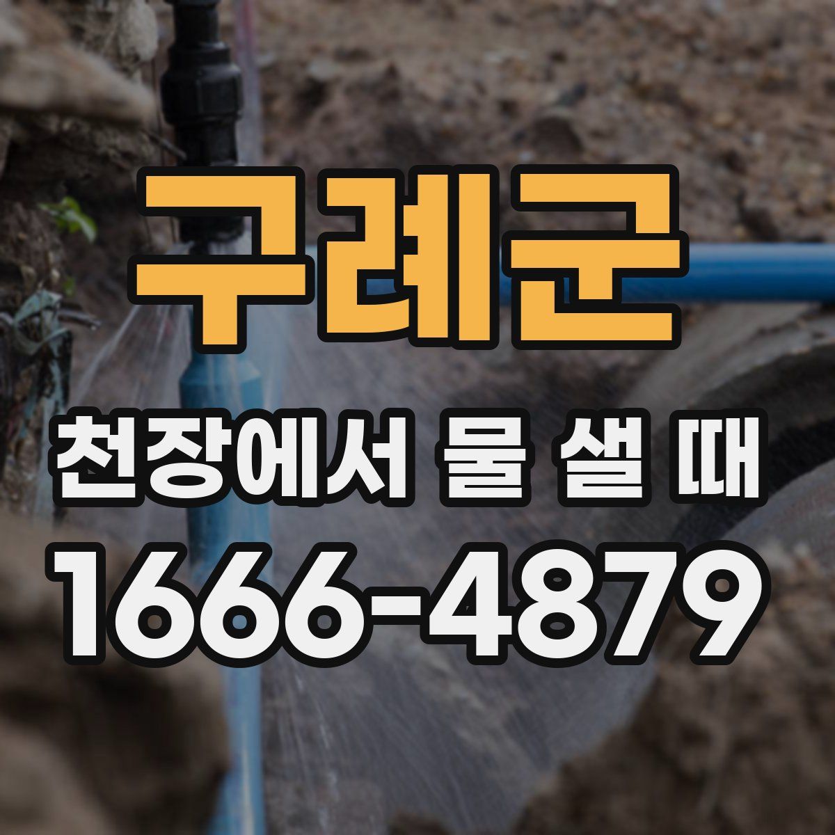 구례군 천장에서 물 샐 때