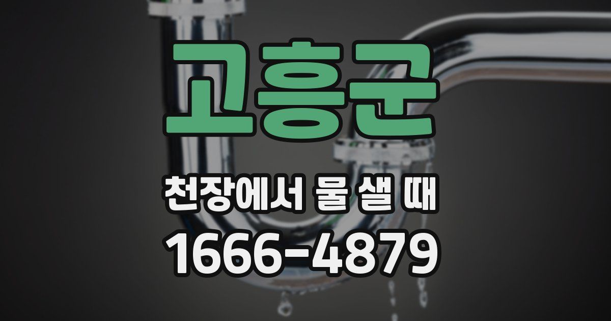 고흥군 천장에서 물 샐 때