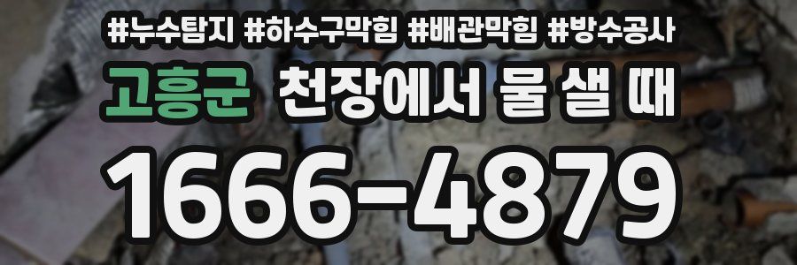 고흥군 천장에서 물 샐 때
