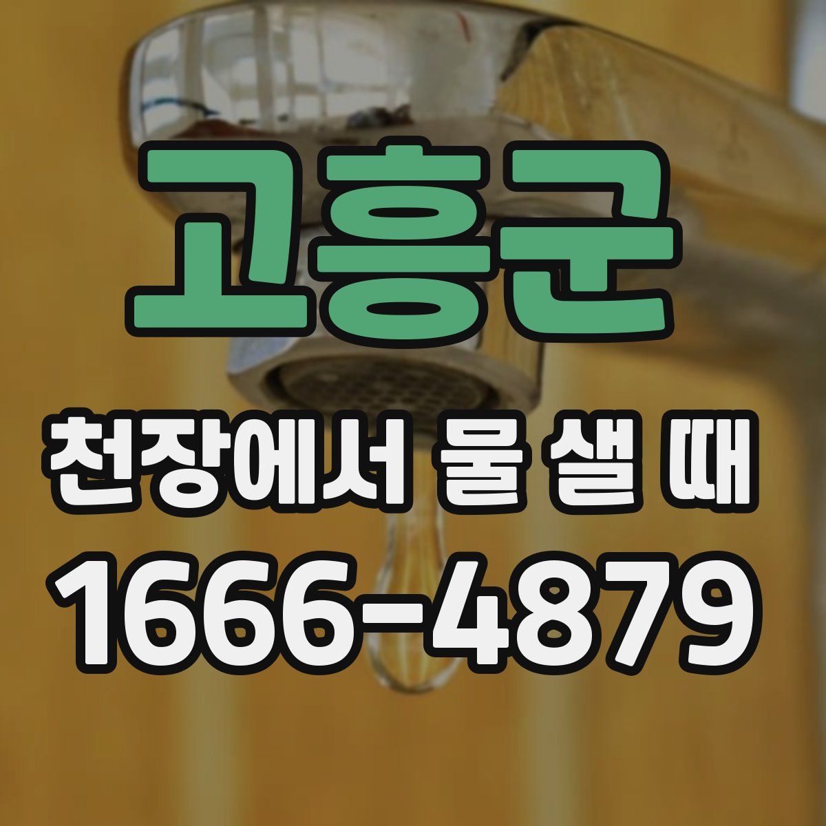 고흥군 천장에서 물 샐 때