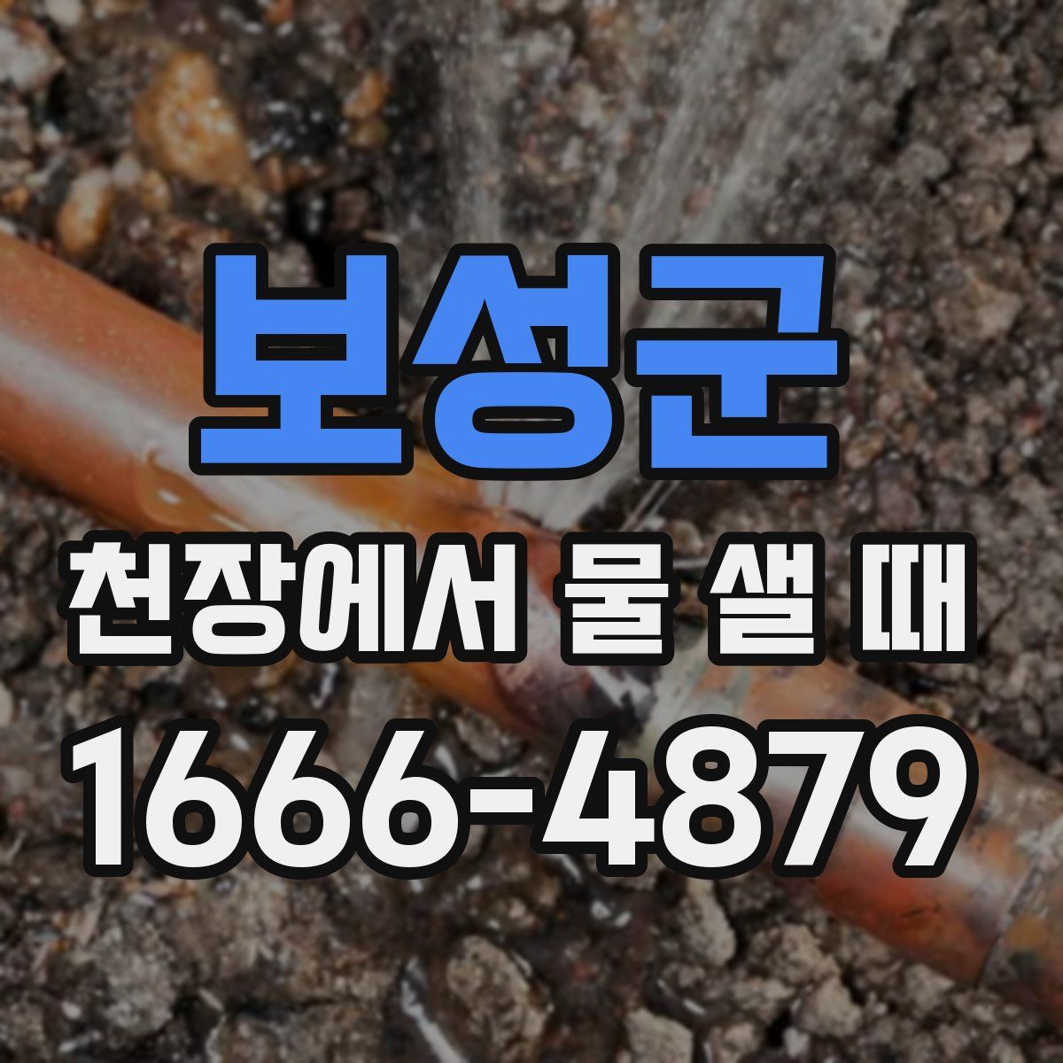 보성군 천장에서 물 샐 때