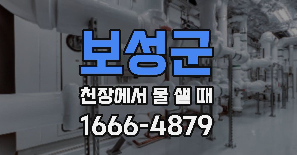 보성군 천장에서 물 샐 때