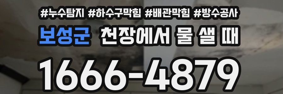 보성군 천장에서 물 샐 때