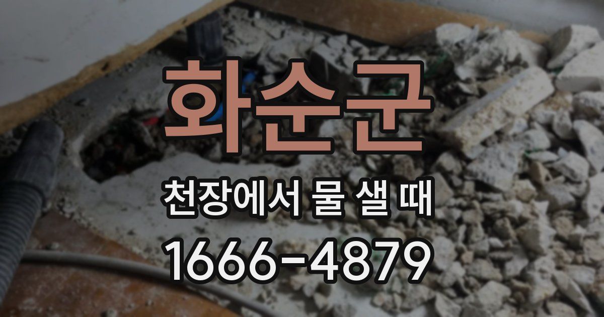 화순군 천장에서 물 샐 때