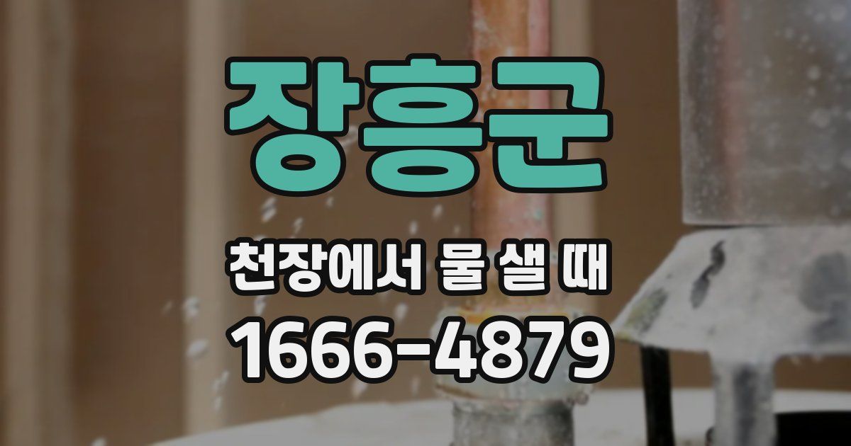장흥군 천장에서 물 샐 때