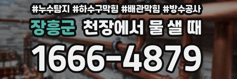 장흥군 천장에서 물 샐 때
