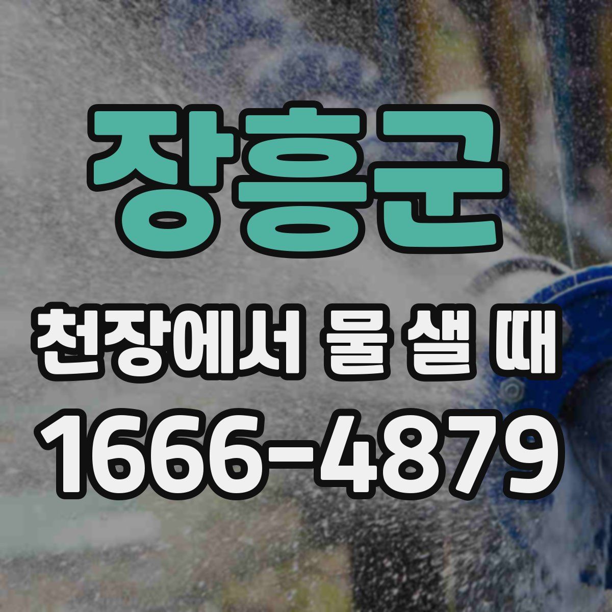 장흥군 천장에서 물 샐 때
