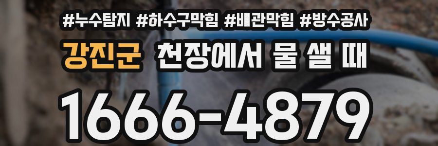 강진군 천장에서 물 샐 때
