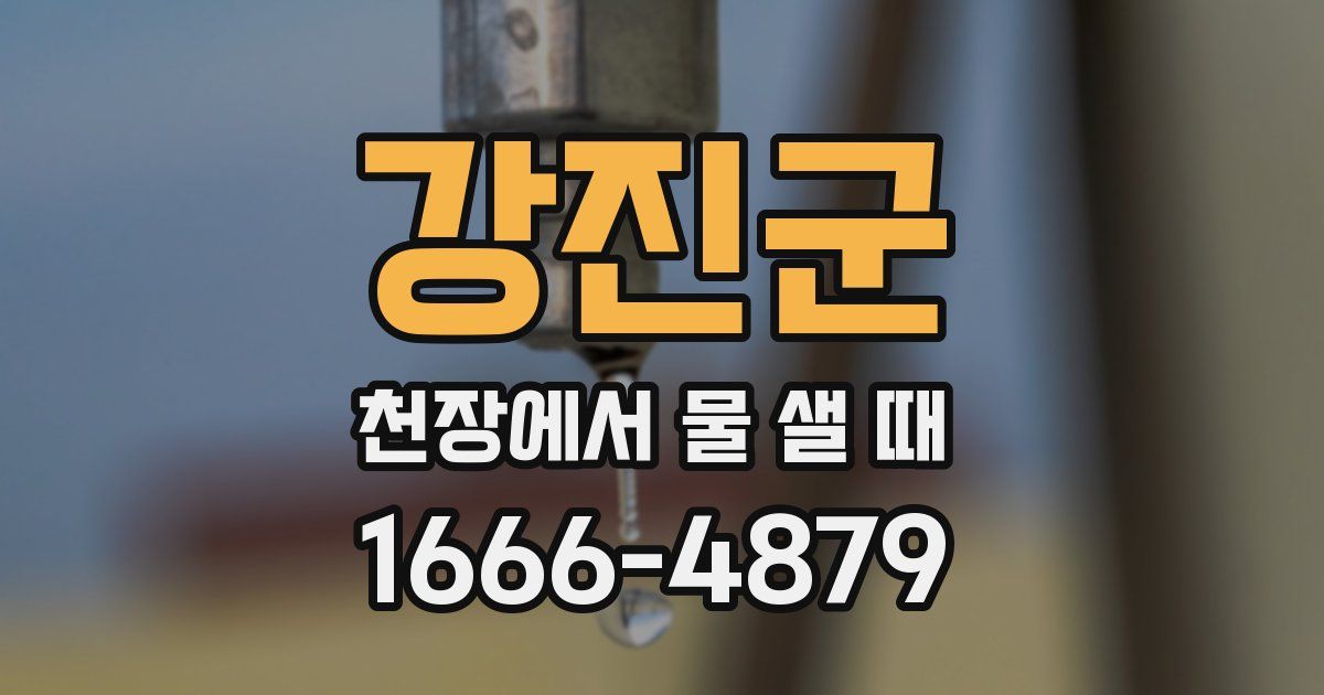 강진군 천장에서 물 샐 때