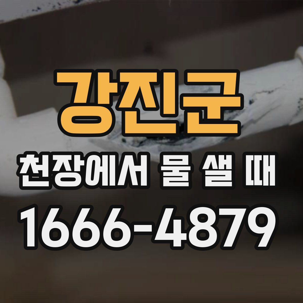 강진군 천장에서 물 샐 때