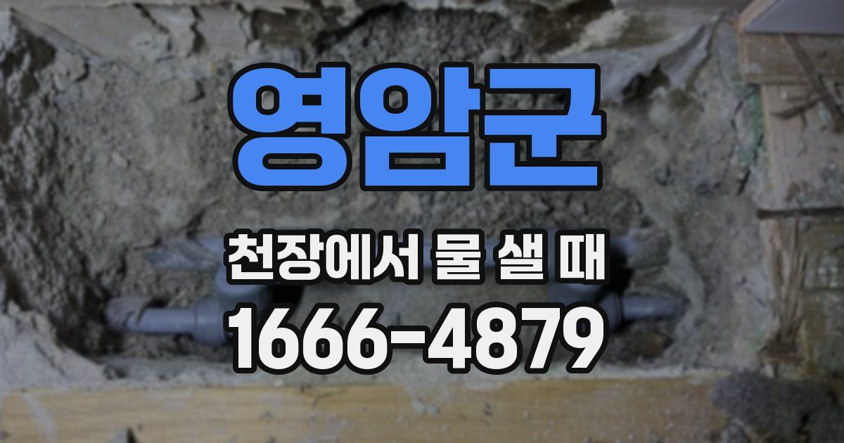 영암군 천장에서 물 샐 때