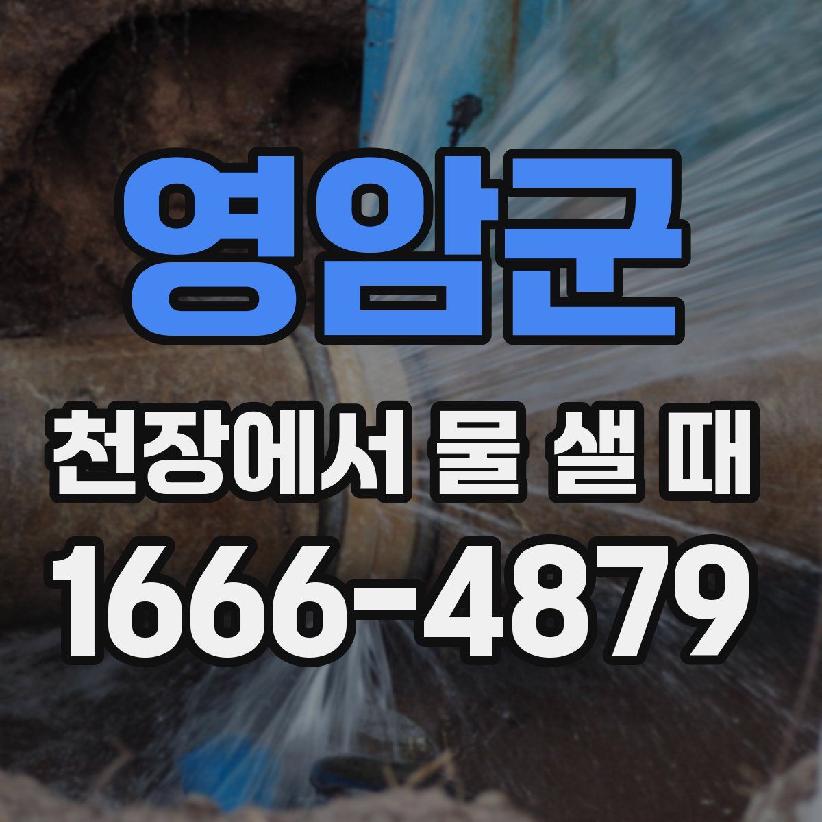 영암군 천장에서 물 샐 때