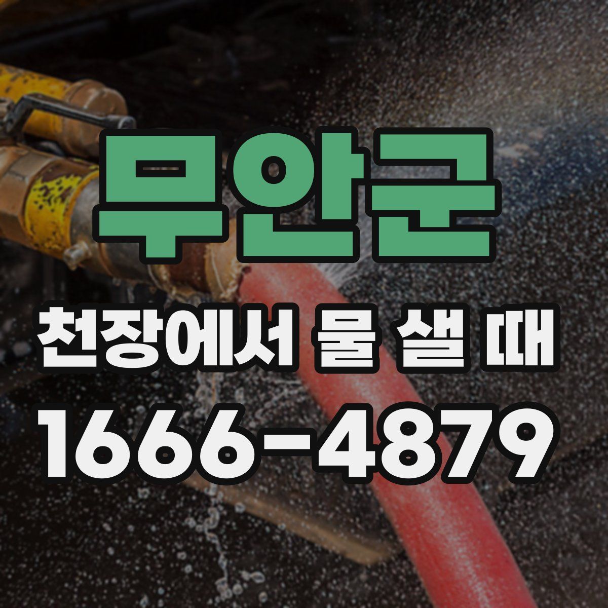 무안군 천장에서 물 샐 때
