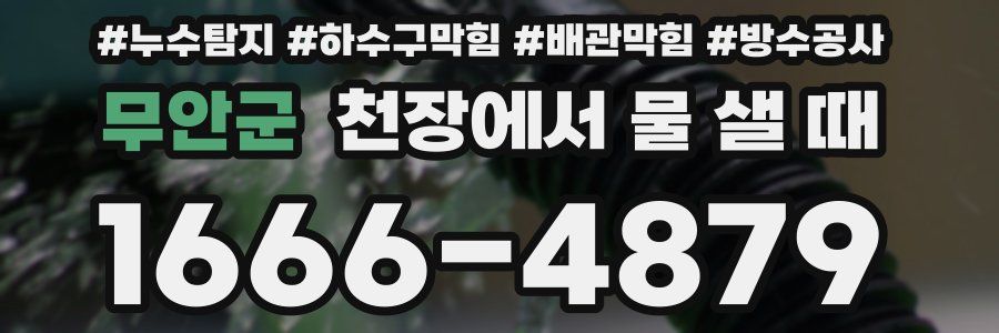 무안군 천장에서 물 샐 때