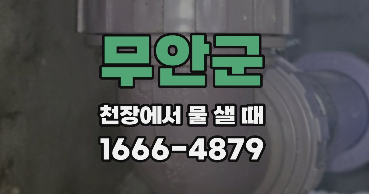 무안군 천장에서 물 샐 때