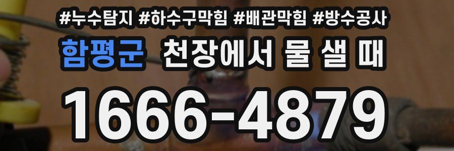 함평군 천장에서 물 샐 때