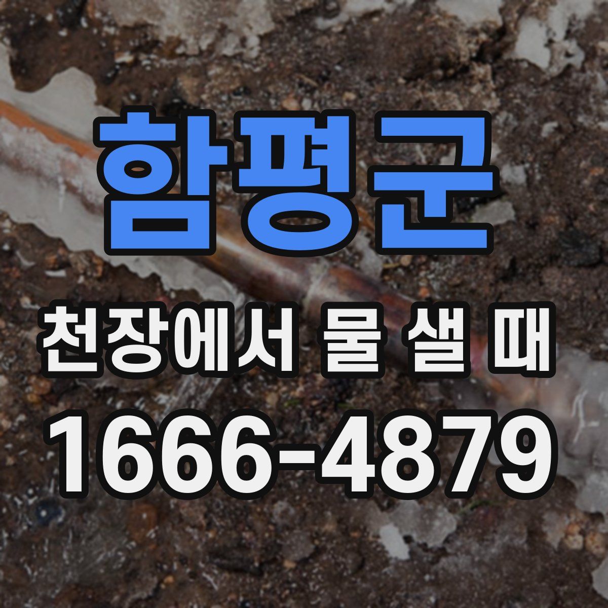 함평군 천장에서 물 샐 때
