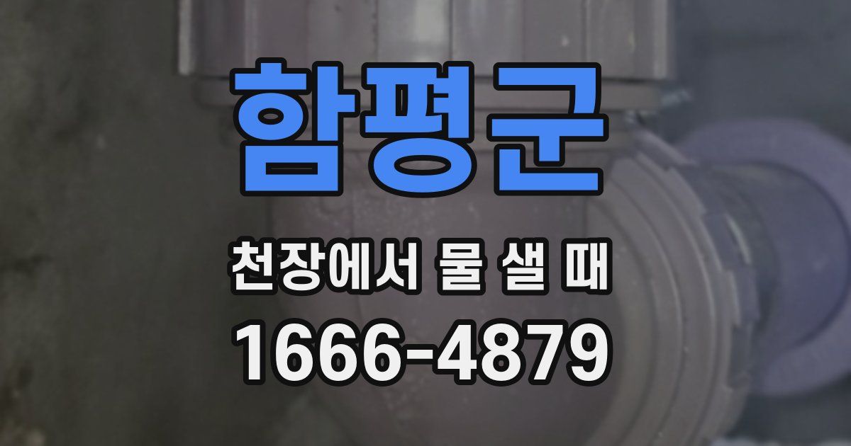 함평군 천장에서 물 샐 때