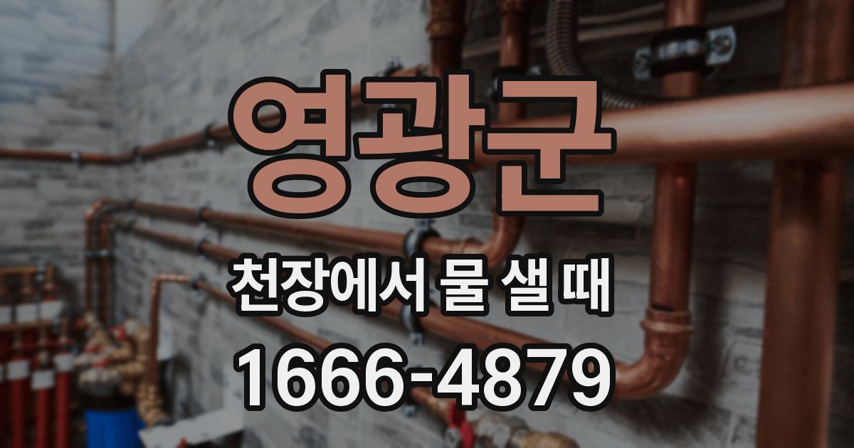 영광군 천장에서 물 샐 때