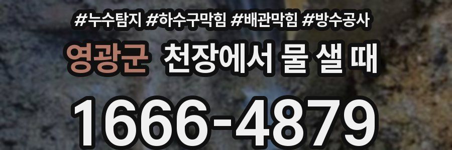영광군 천장에서 물 샐 때
