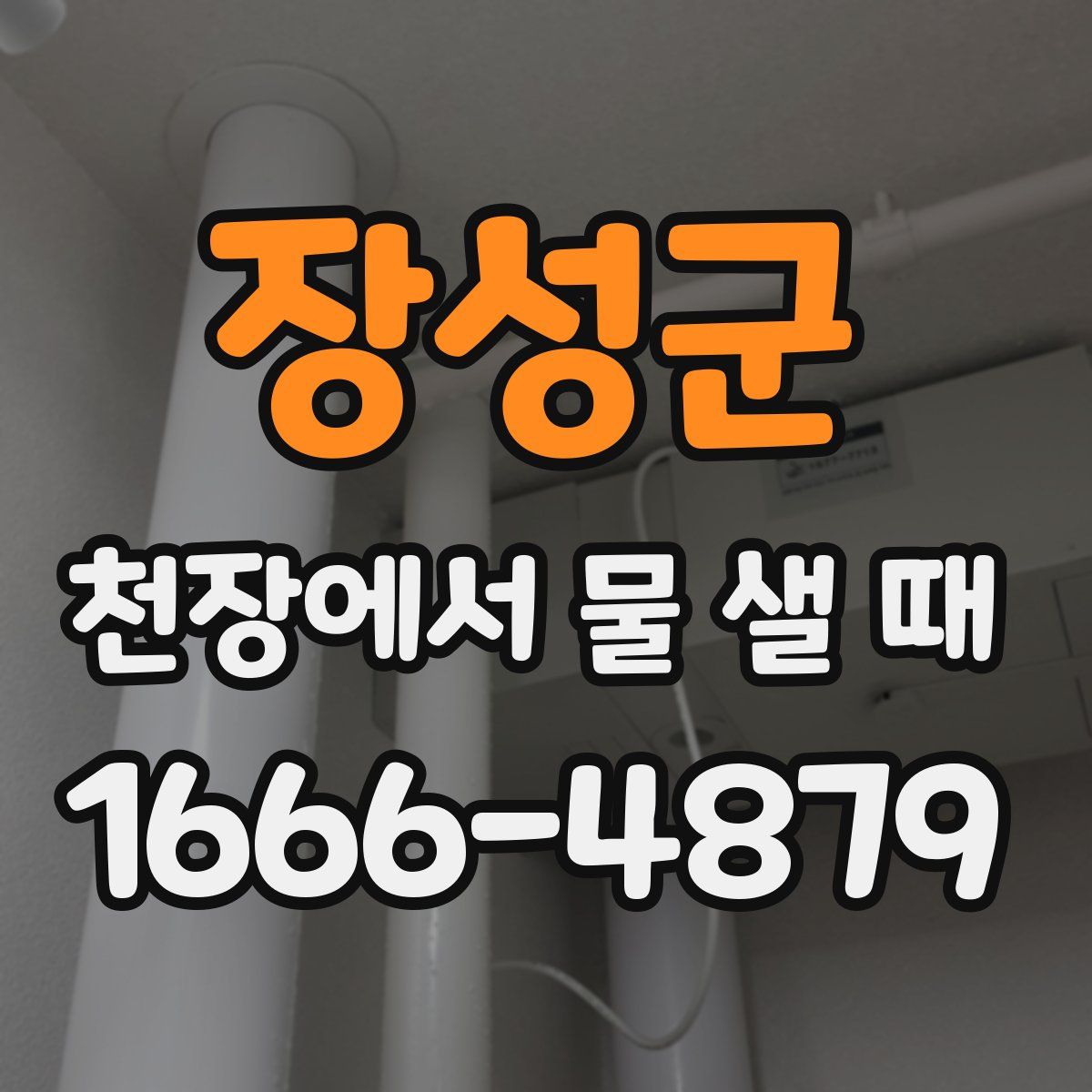 장성군 천장에서 물 샐 때