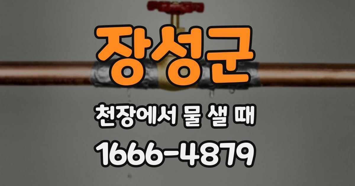 장성군 천장에서 물 샐 때