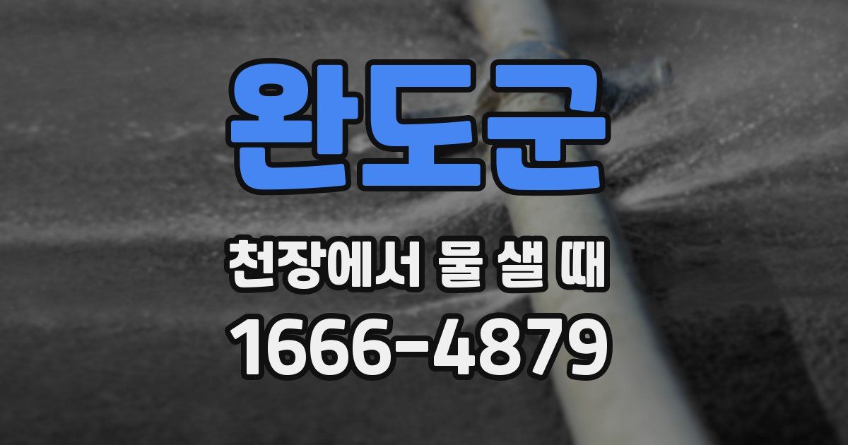 완도군 천장에서 물 샐 때
