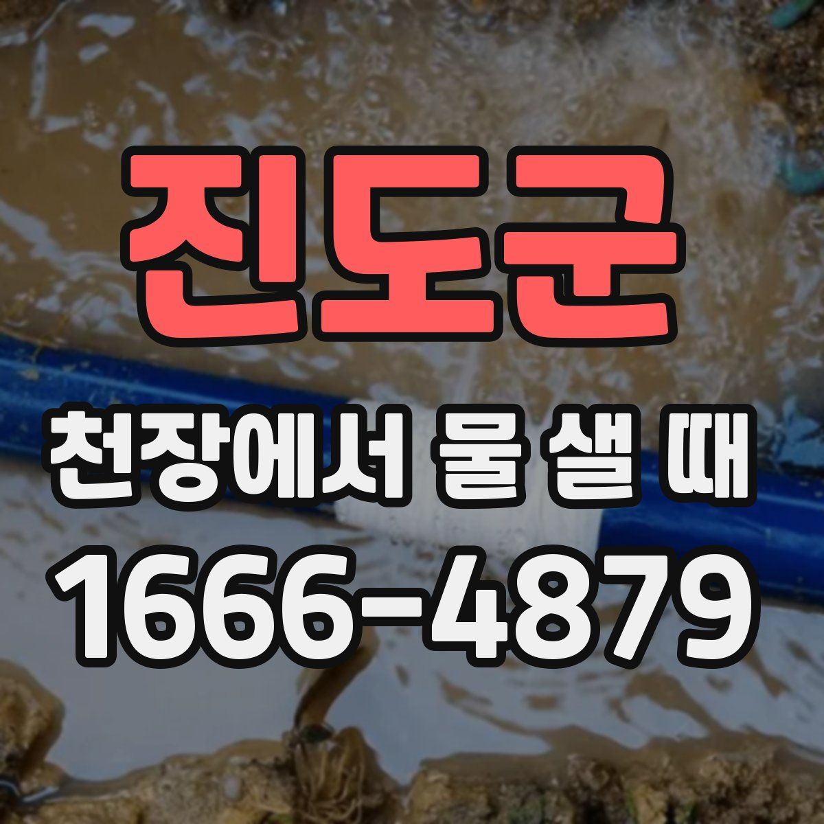 진도군 천장에서 물 샐 때