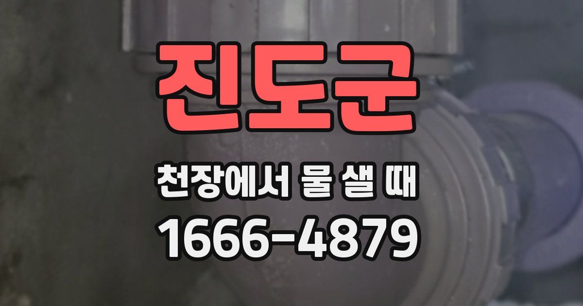 진도군 천장에서 물 샐 때
