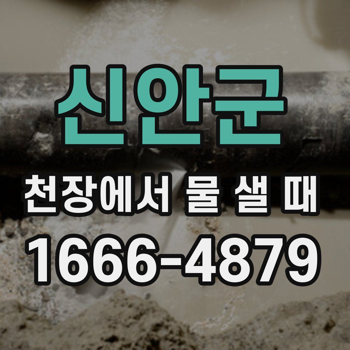 신안군 천장에서 물 샐 때