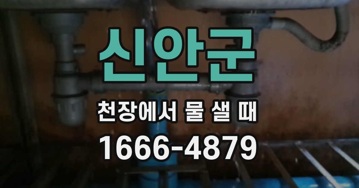 신안군 천장에서 물 샐 때