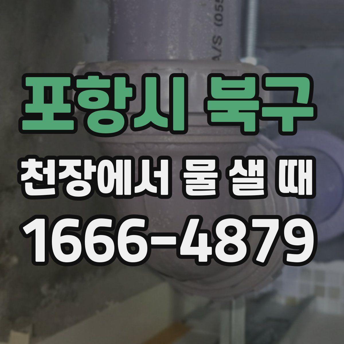 포항시 북구 천장에서 물 샐 때