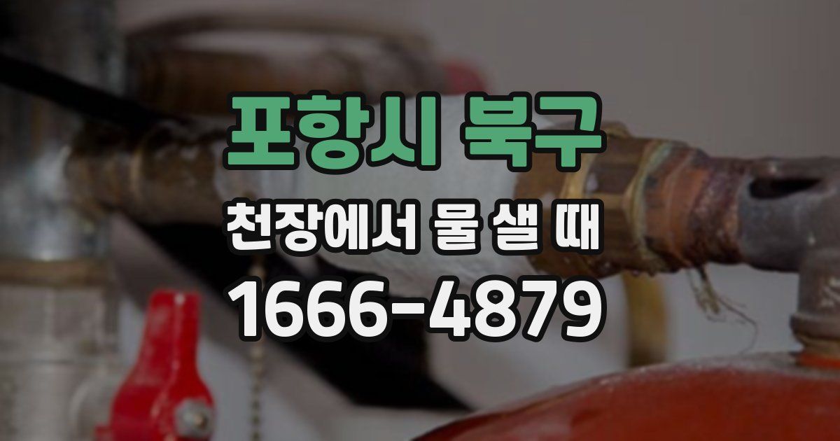포항시 북구 천장에서 물 샐 때