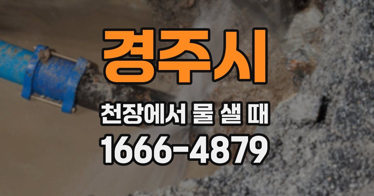 경주시 천장에서 물 샐 때