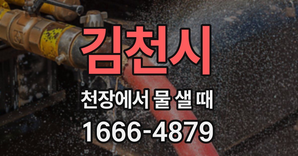 김천시 천장에서 물 샐 때