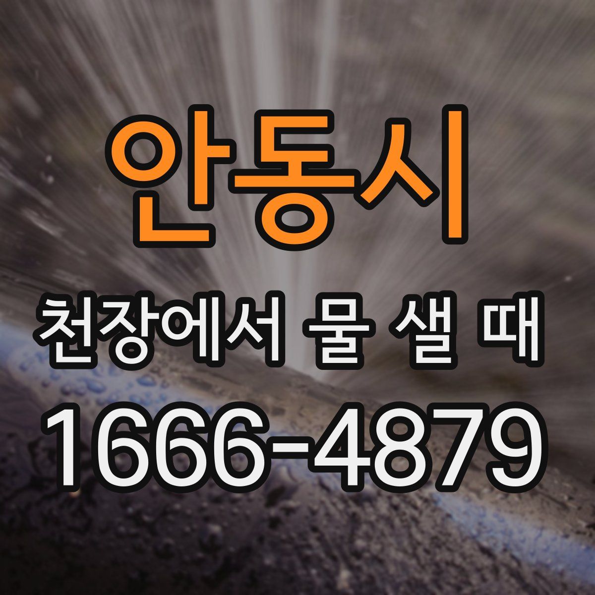 안동시 천장에서 물 샐 때