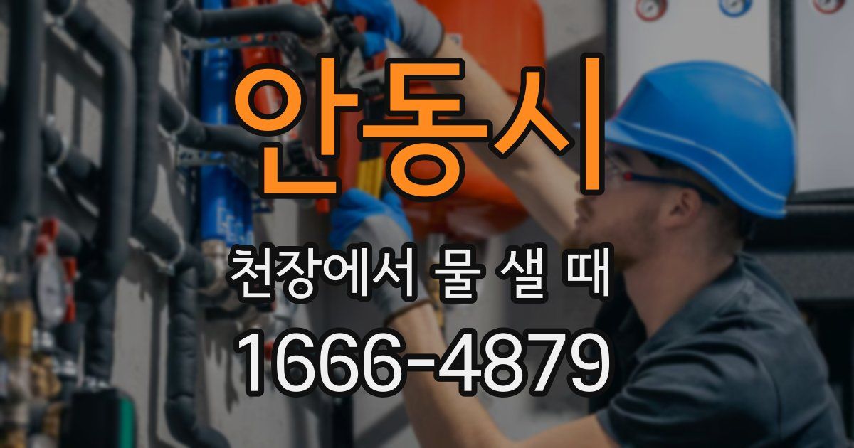안동시 천장에서 물 샐 때