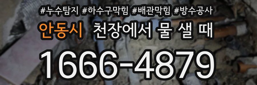 안동시 천장에서 물 샐 때
