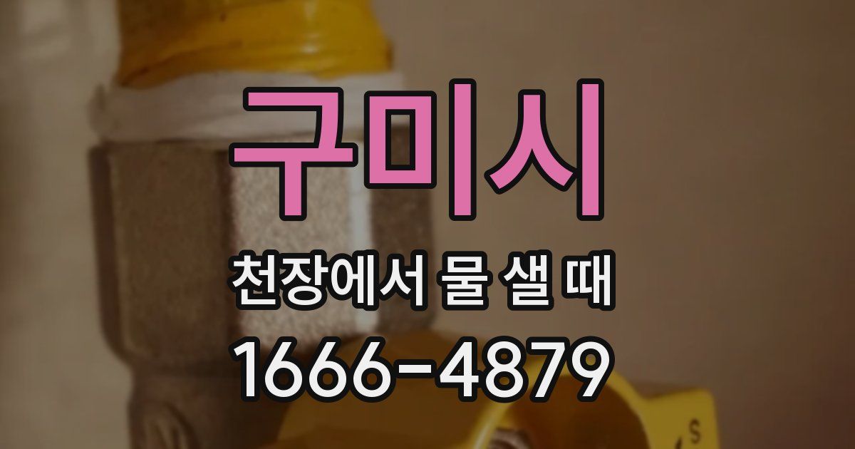 구미시 천장에서 물 샐 때