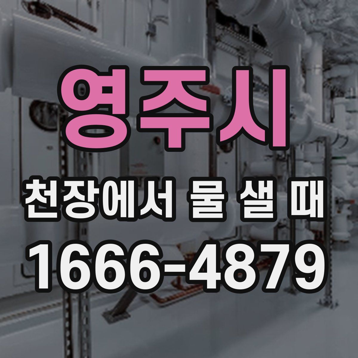 영주시 천장에서 물 샐 때